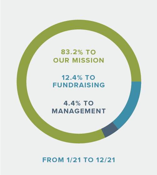 85.3% to mission, 10.8% to fundraising, 3.8% to management from 1/20 to 12/20