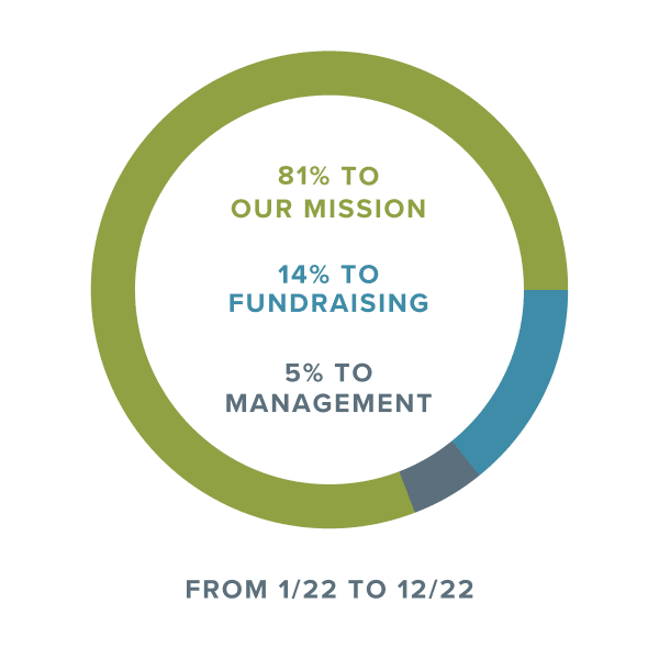 Chart showing how donations are spent