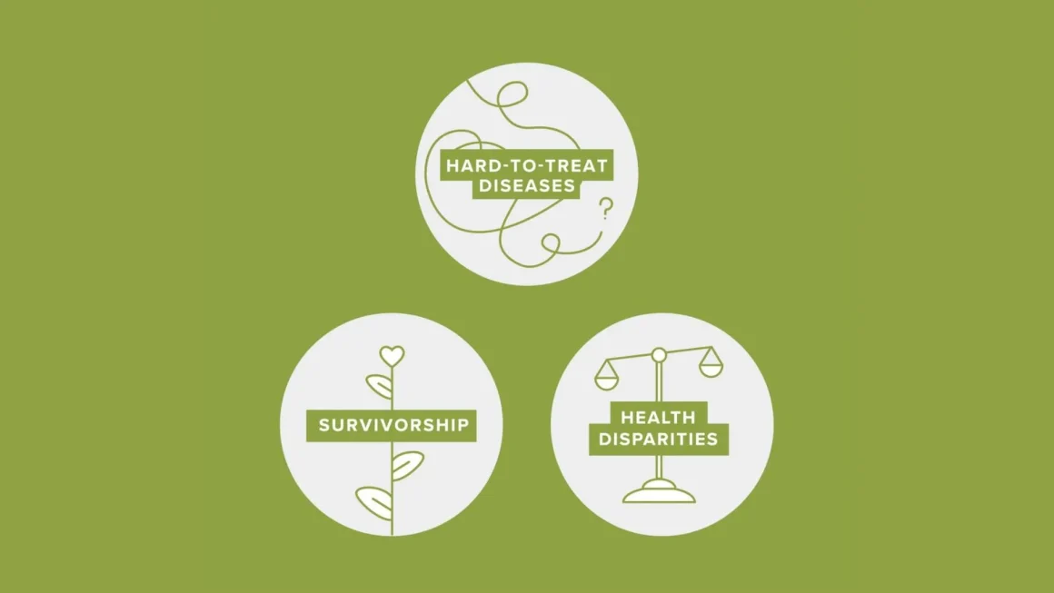 Research Funding Priorities - Hard-to-treat diseases, survivorship, health disparities